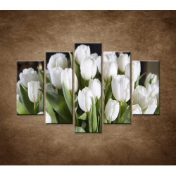 Obrazy na stenu - Biele tulipány - 5dielny 150x100cm