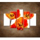 Obrazy na stenu - Oranžové tulipány - 5dielny 150x100cm