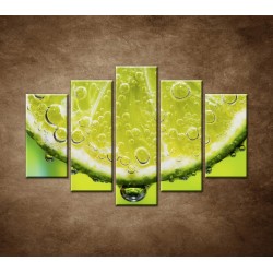 Obrazy na stenu - Plátok citróna - 5dielny 150x100cm