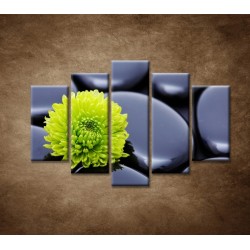 Obrazy na stenu - Žlto-zelený kvet - 5dielny 150x100cm