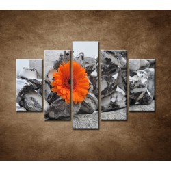 Obrazy na stenu - Oranžová gerbera a kamene - 5dielny 150x100cm