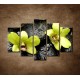 Obrazy na stenu - Kamene s kvapkami a orchideou - 5dielny 150x100cm