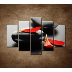 Obrazy na stenu - Čierny kameň s červeným lupeňom - 5dielny 150x100cm