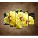 Obrazy na stenu - Žltá orchidea s kameňmi - 5dielny 150x100cm