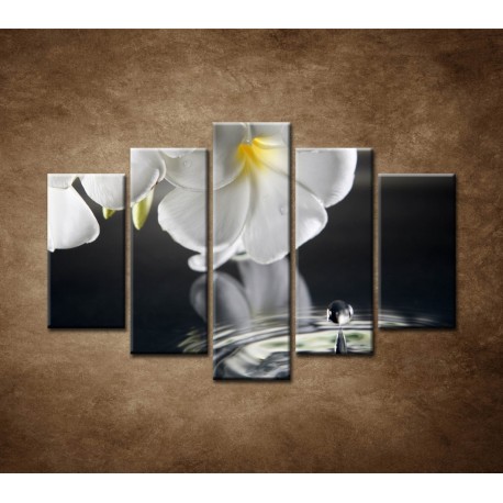 Obrazy na stenu - Biely kvet nad vodou - 5dielny 150x100cm