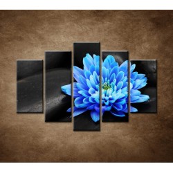 Obrazy na stenu - Modrý kvet na kameňoch - 5dielny 150x100cm