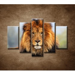 Obrazy na stenu - Leví kráľ - 5dielny 150x100cm