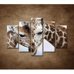 Obrazy na stenu - Žirafy - 5dielny 150x100cm