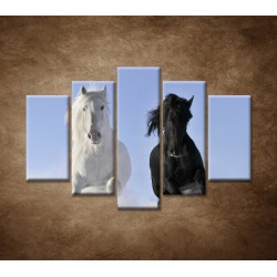 Obrazy na stenu - Párik koní - 5dielny 150x100cm