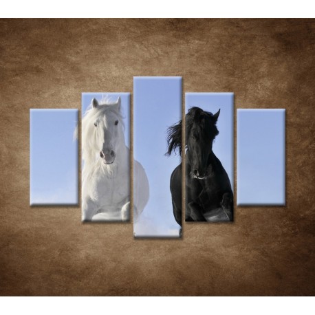 Obrazy na stenu - Párik koní - 5dielny 150x100cm