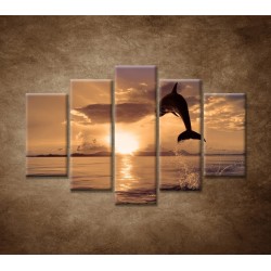 Obrazy na stenu - Skákajúci delfín - 5dielny 150x100cm