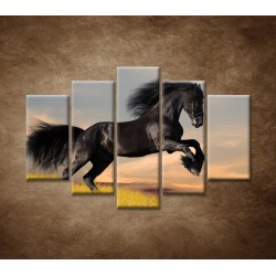 Obrazy na stenu - Skákajúci kôň - 5dielny 150x100cm