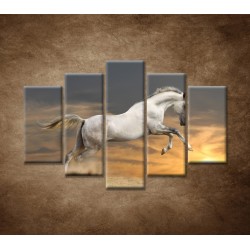 Obrazy na stenu - Kôň pri západe slnka - 5dielny 150x100cm