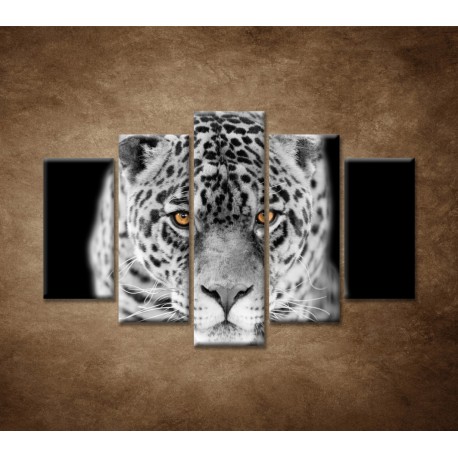Obrazy na stenu - Čiernbiely jaguár - 5dielny 150x100cm