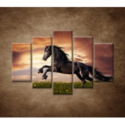 Obrazy na stenu - Čierny kôň - 5dielny 150x100cm