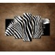 Obrazy na stenu - Zebra - 5dielny 150x100cm