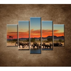 Obrazy na stenu - Safari - 5dielny 150x100cm