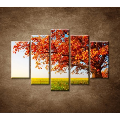 Obrazy na stenu - Jesenný dub - 5dielny 150x100cm
