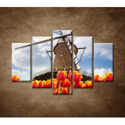 Obrazy na stenu - Mlyn s tulipánmi - 5dielny 150x100cm