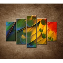 Obrazy na stenu - Farebné perie - 5dielny 150x100cm