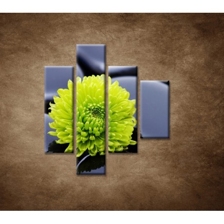Obrazy na stenu - Žlto-zelený kvet - 4dielny 80x90cm