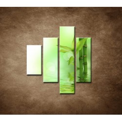 Obrazy na stenu - Bambusový výhonok - 4dielny 80x90cm