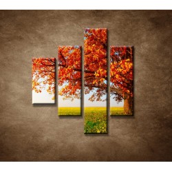 Obrazy na stenu - Jesenný dub - 4dielny 80x90cm