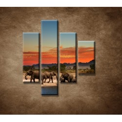Obrazy na stenu - Safari - 4dielny 80x90cm