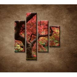 Obrazy na stenu - Japonský javor - 4dielny 80x90cm