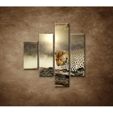 Obrazy na stenu - Odpočívajúci leopard - 4dielny 80x90cm