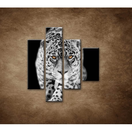 Obrazy na stenu - Čiernobiely jaguár - 4dielny 80x90cm