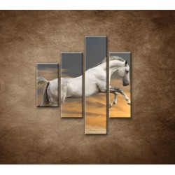 Obrazy na stenu - Kôň pri západe slnka - 4dielny 80x90cm