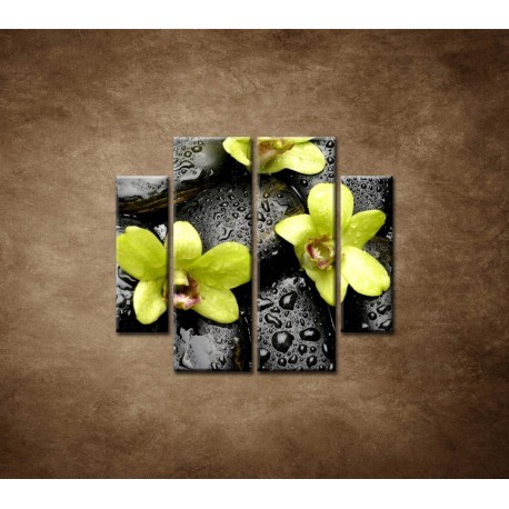 Obrazy na stenu - Kamene s kvapkami a orchideou - 4dielny 100x90cm