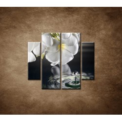 Obrazy na stenu - Biely kvet nad vodou - 4dielny 100x90cm