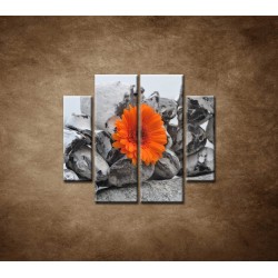 Obrazy na stenu - Oranžová gerbera a kamene - 4dielny 100x90cm