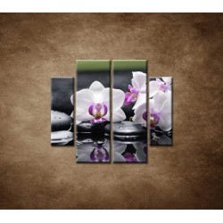 Obrazy na stenu - Ružová orchidea a kamene - 4dielny 100x90cm