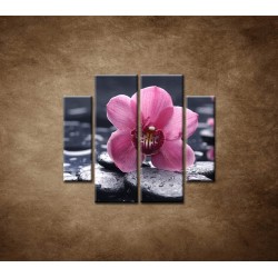 Obrazy na stenu - Ružová orchidea na kameni - 4dielny 100x90cm