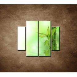 Obrazy na stenu - Bambusový výhonok - 4dielny 100x90cm