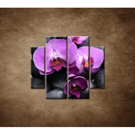 Obrazy na stenu - Ružové orchidey - 4dielny 100x90cm
