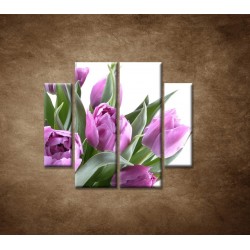 Obrazy na stenu - Nežné tulipány - 4dielny 100x90cm