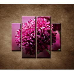 Obrazy na stenu - Kvetinové pozadie - 4dielny 100x90cm