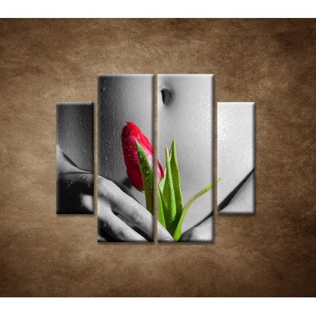 Obrazy na stenu - Mokré dievča s tulipánom - 4dielny 100x90cm