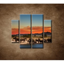 Obrazy na stenu - Safari - 4dielny 100x90cm