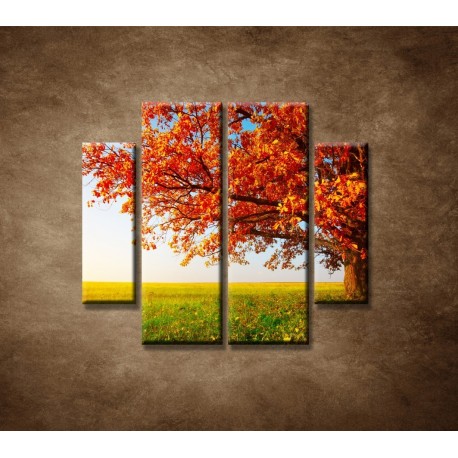 Obrazy na stenu - Jesenný dub - 4dielny 100x90cm