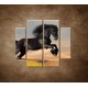 Obrazy na stenu - Skákajúci kôň - 4dielny 100x90cm