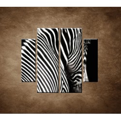 Obrazy na stenu - Zebra - 4dielny 100x90cm