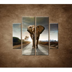 Obrazy na stenu - Slon - 4dielny 100x90cm
