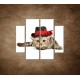 Obrazy na stenu - Mačiatko v čiernom klobúku - 4dielny 100x90cm