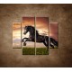 Obrazy na stenu - Čierny kôň - 4dielny 100x90cm