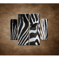 Obrazy na stenu - Zebra - oko - 4dielny 100x90cm